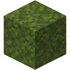 Moss Block