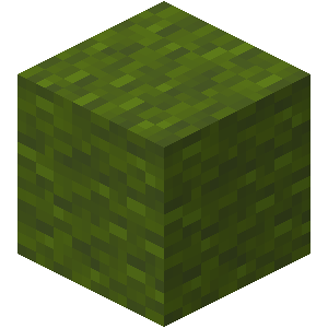 Green Wool