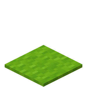 Lime Carpet