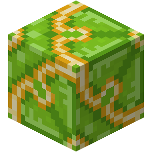 Lime Glazed Terracotta