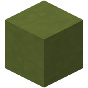 Lime Terracotta