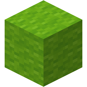 Lime Wool